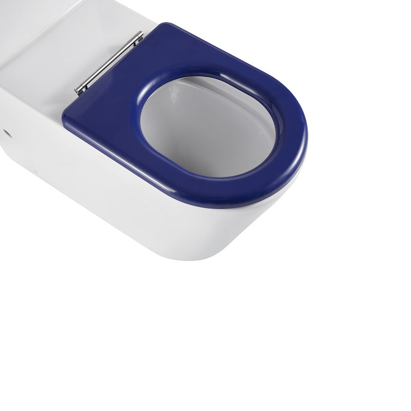 Cesena Care Rimless Care Toilet Suite - Blue Seat & Raised Button - Acqua Bathrooms