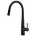 Parker Matte Black Pull Out Kitchen Mixer - Acqua Bathrooms