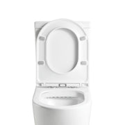 Ecco Rimless Toilet Suite - Acqua Bathrooms