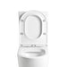 Ecco Rimless Toilet Suite - Acqua Bathrooms