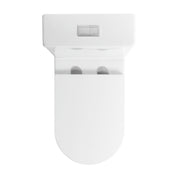Ecco Rimless Toilet Suite - Acqua Bathrooms