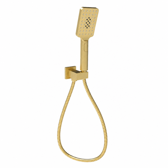 Eden Brushed Gold Hand Held Shower