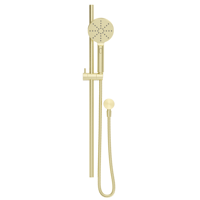 Mica French Gold Shower Rail