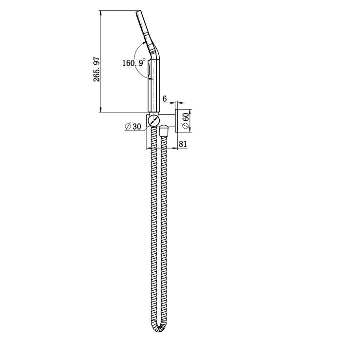 Star Mini Warm Brushed Nickel Hand Held Shower Set - Acqua Bathrooms