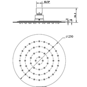 Novara 250 mm Slim Shower Head - Acqua Bathrooms