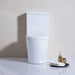 Alzano 002 Back To Wall Toilet Suite - Acqua Bathrooms