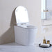 Avis Full Rimless In Wall Toilet Suite Pan - Acqua Bathrooms
