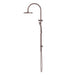 Nero Mecca Brushed Bronze Multifunction Air Shower Rail - Acqua Bathrooms